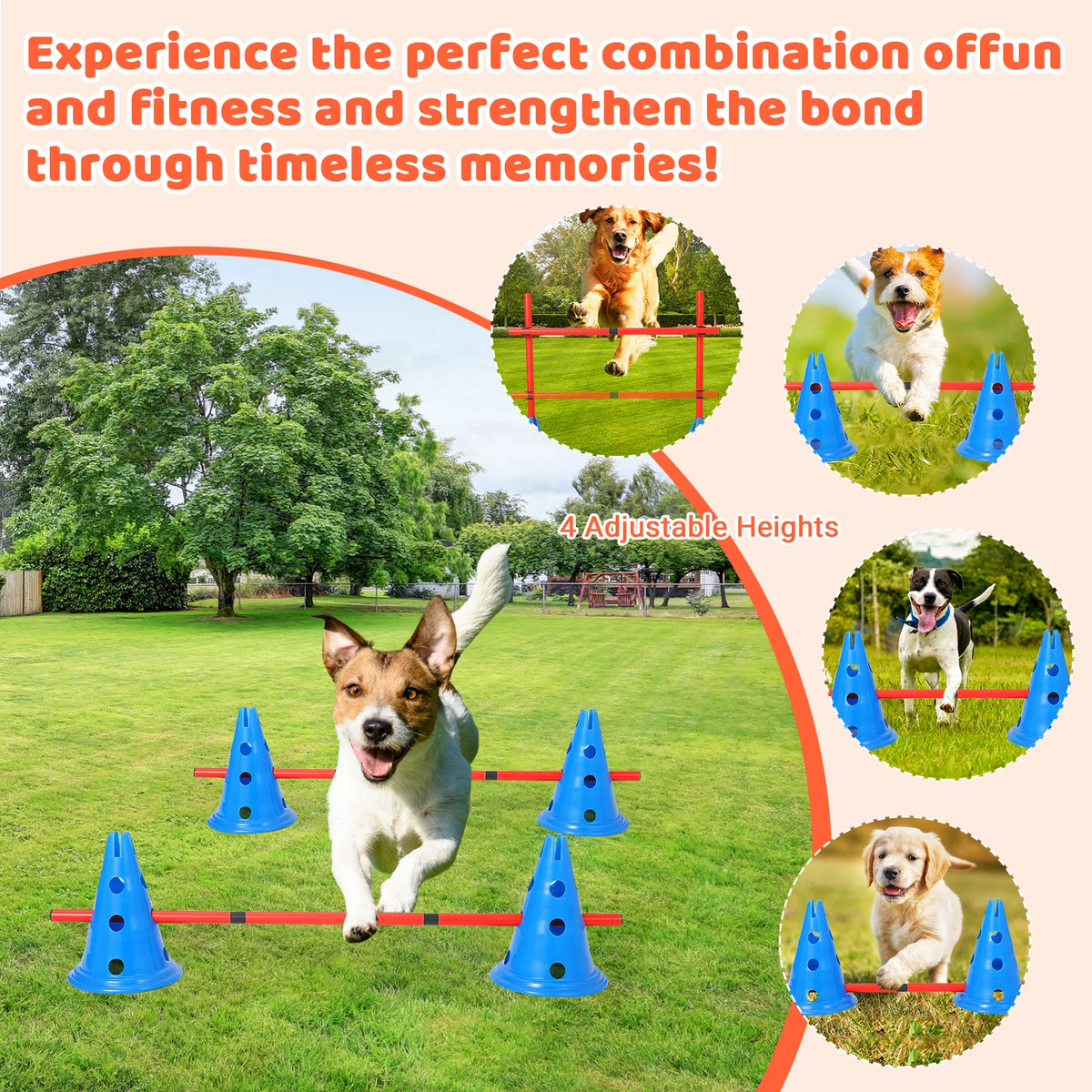 Adjustable Dog Agility Hurdle Set for Indoor and Outdoor Training