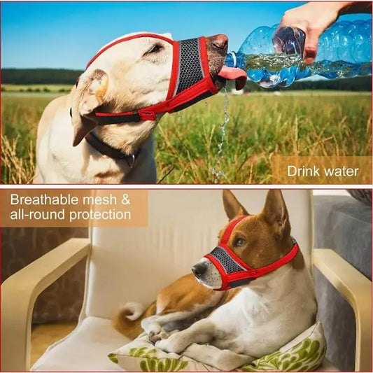Breathable And Adjustable Dog Muzzle For Safe Daily Use