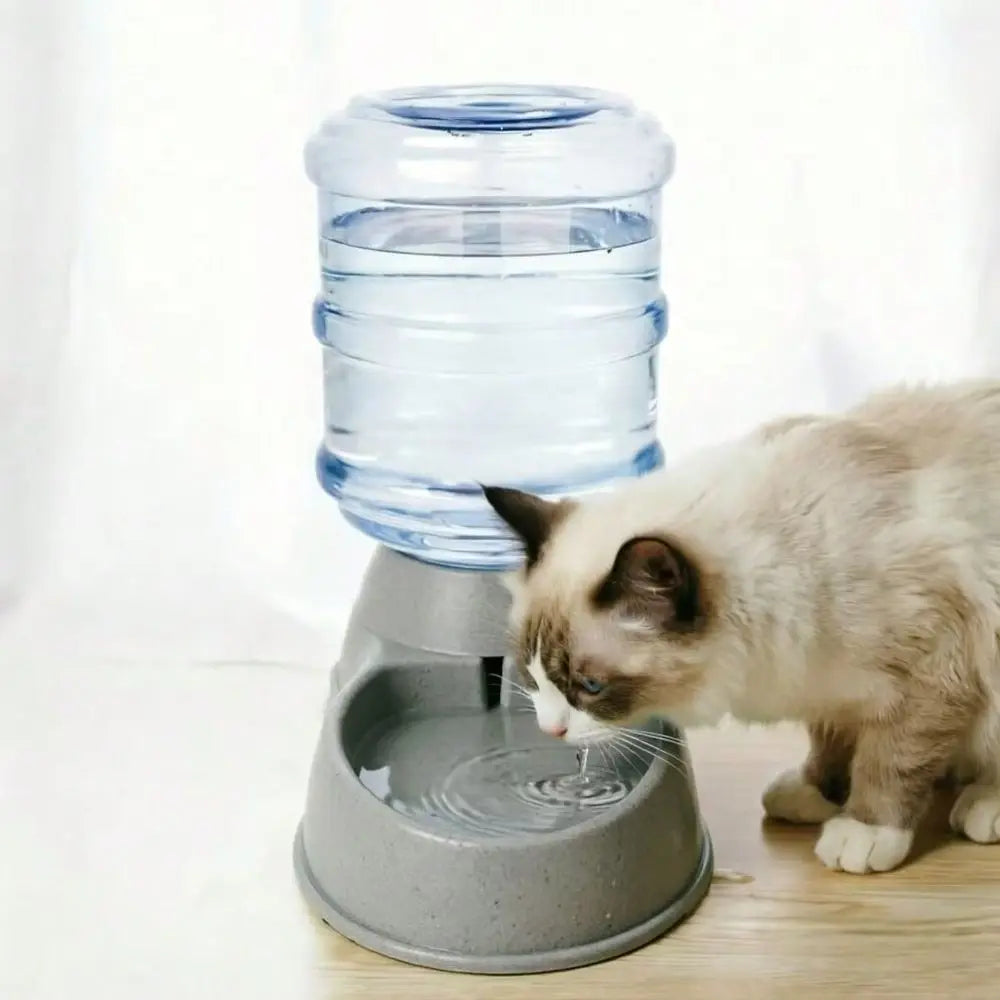 Dual Capacity Automatic Pet Water Fountain Spill Proof Design