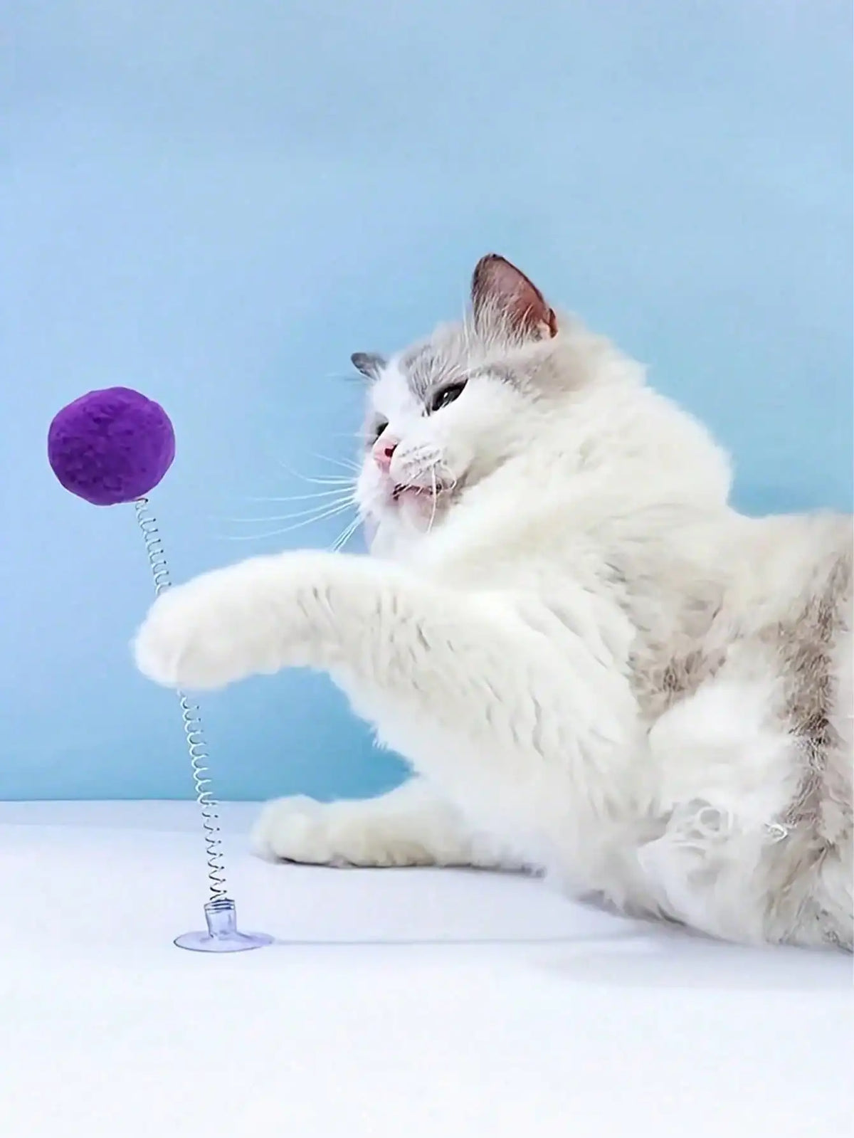 Interactive Cat Toy With Metal Teaser Wand And Plush Ball