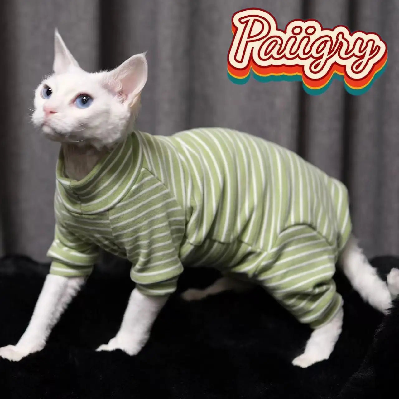 Warm Stretch Four Legged Pet Clothing For Sphinx Cats