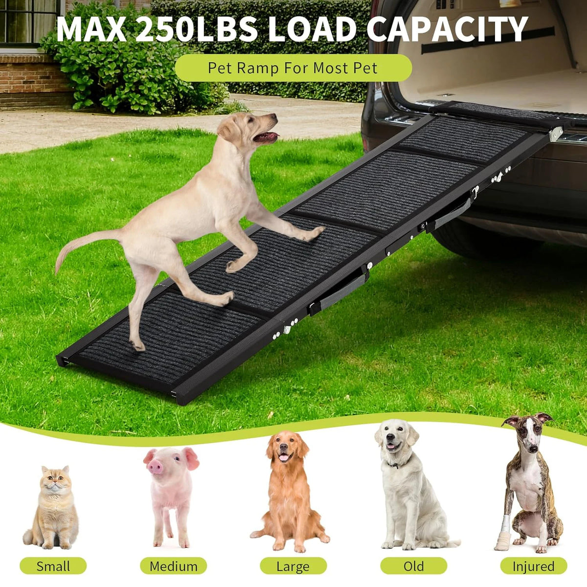 HiMiss Folding Dog Car Ramp With Non Slip Safety Surface