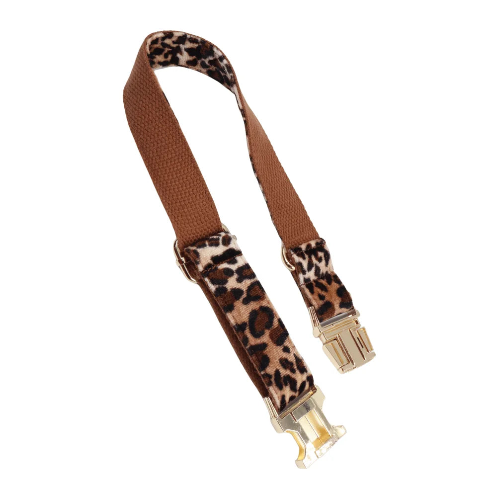 Comfortable Zinc Alloy Pet Collar And Leash Set For Dogs