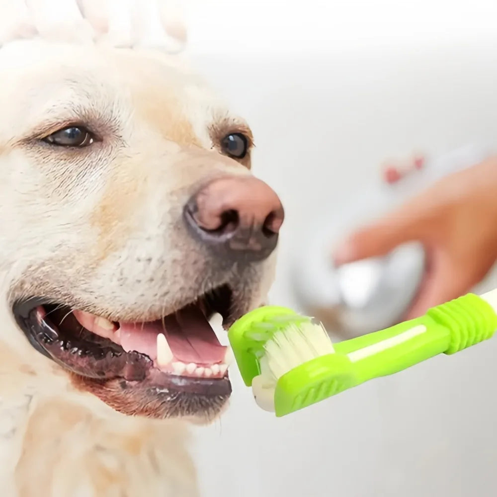 Three Sided Plastic Pet Toothbrush For Tartar Plaque Removal