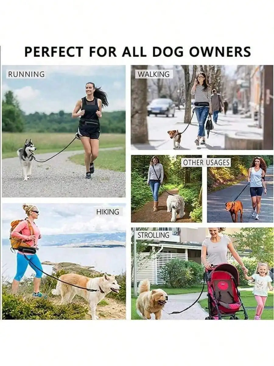 Impact Resistant Elastic Waist Dog Leash For Running And Walking