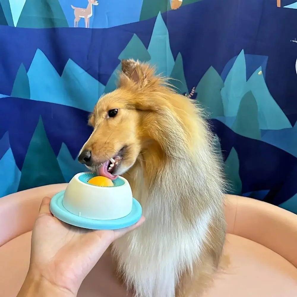 Interactive Dog Cat Slow Feeder Lick Mat Treat Dispenser Toy