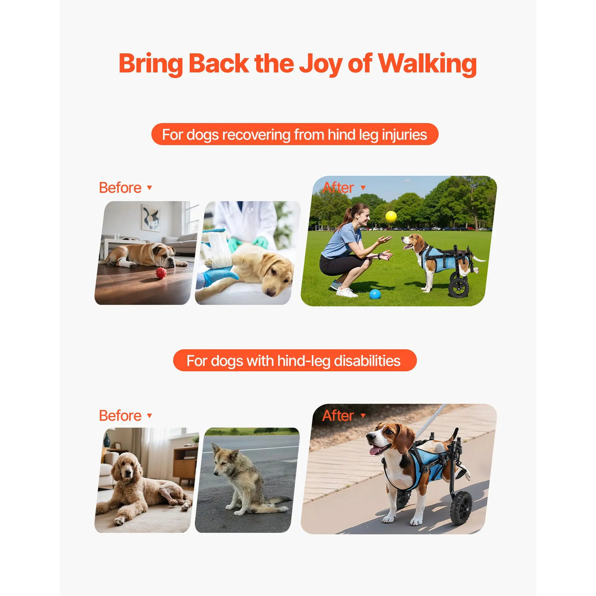 Adjustable Dog Wheelchair For Hind Legs With Shock Absorbing Wheels