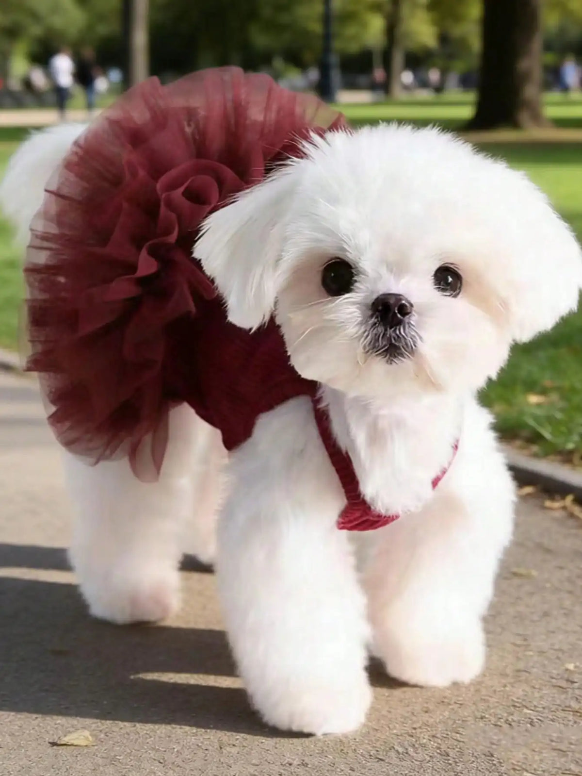 Elegant Ballet Tulle Princess Dress For Small Dogs Cats Outfit