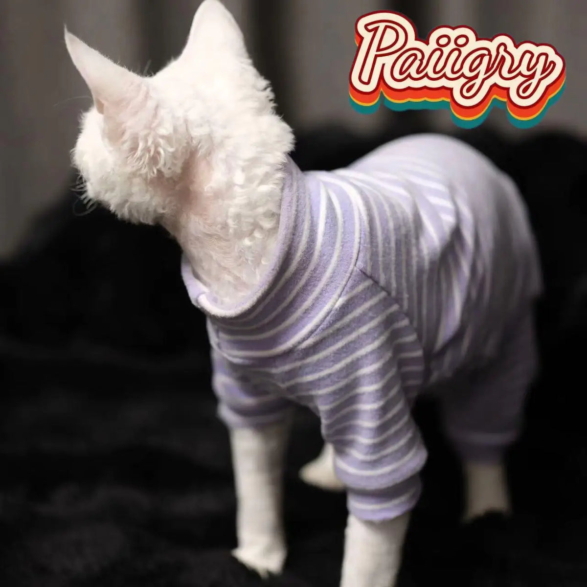 Warm Stretch Four Legged Pet Clothing For Sphinx Cats
