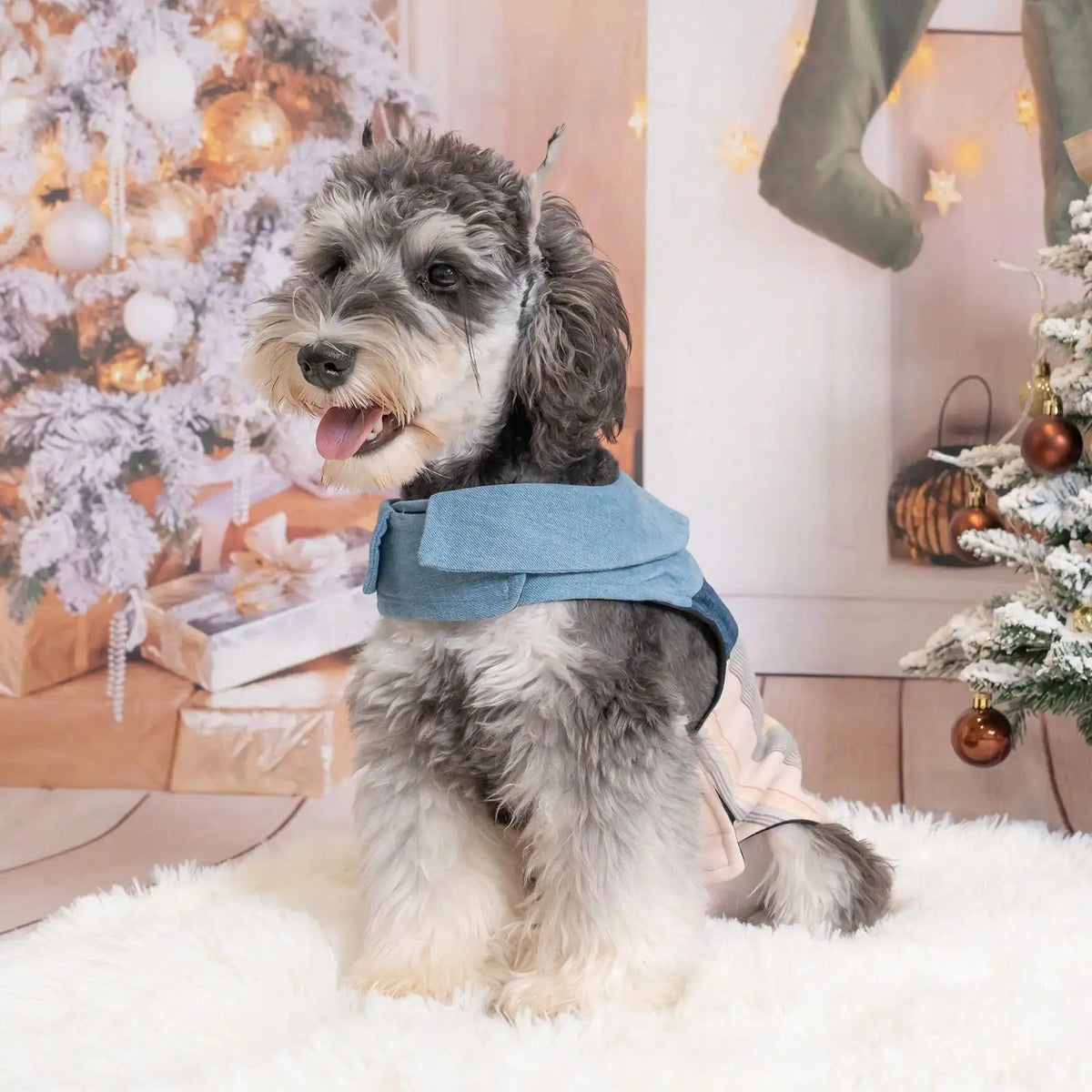 Lightweight Breathable Denim Collar Vest for Dogs and Cats