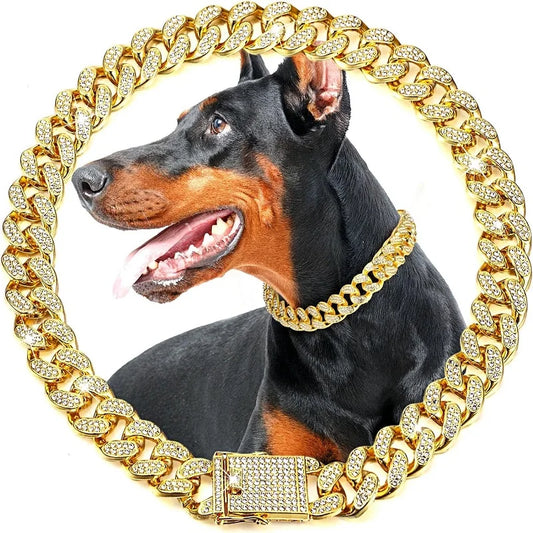 Elegant Stainless Steel Chain Collar For Dogs And Cats