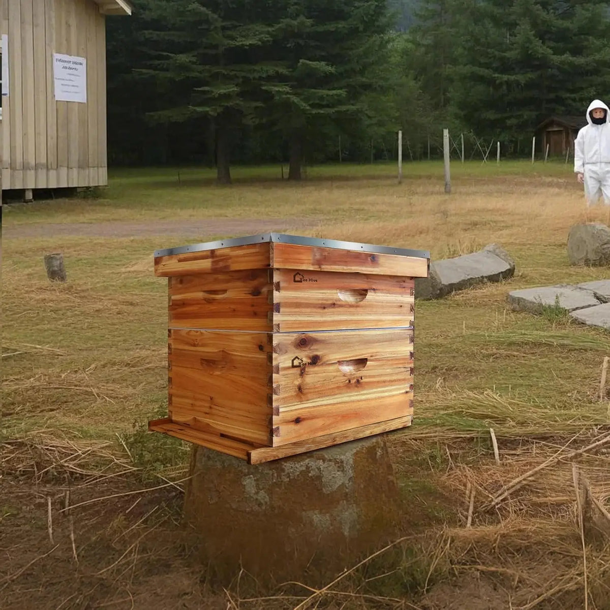 HiMISS 10 Frame Beehive Kit With Wax Coated Foundations