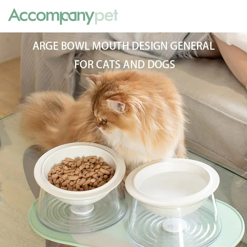 Tilted Raised Ceramic Bowl With Non-Slip Anti-Tip Feeding Design