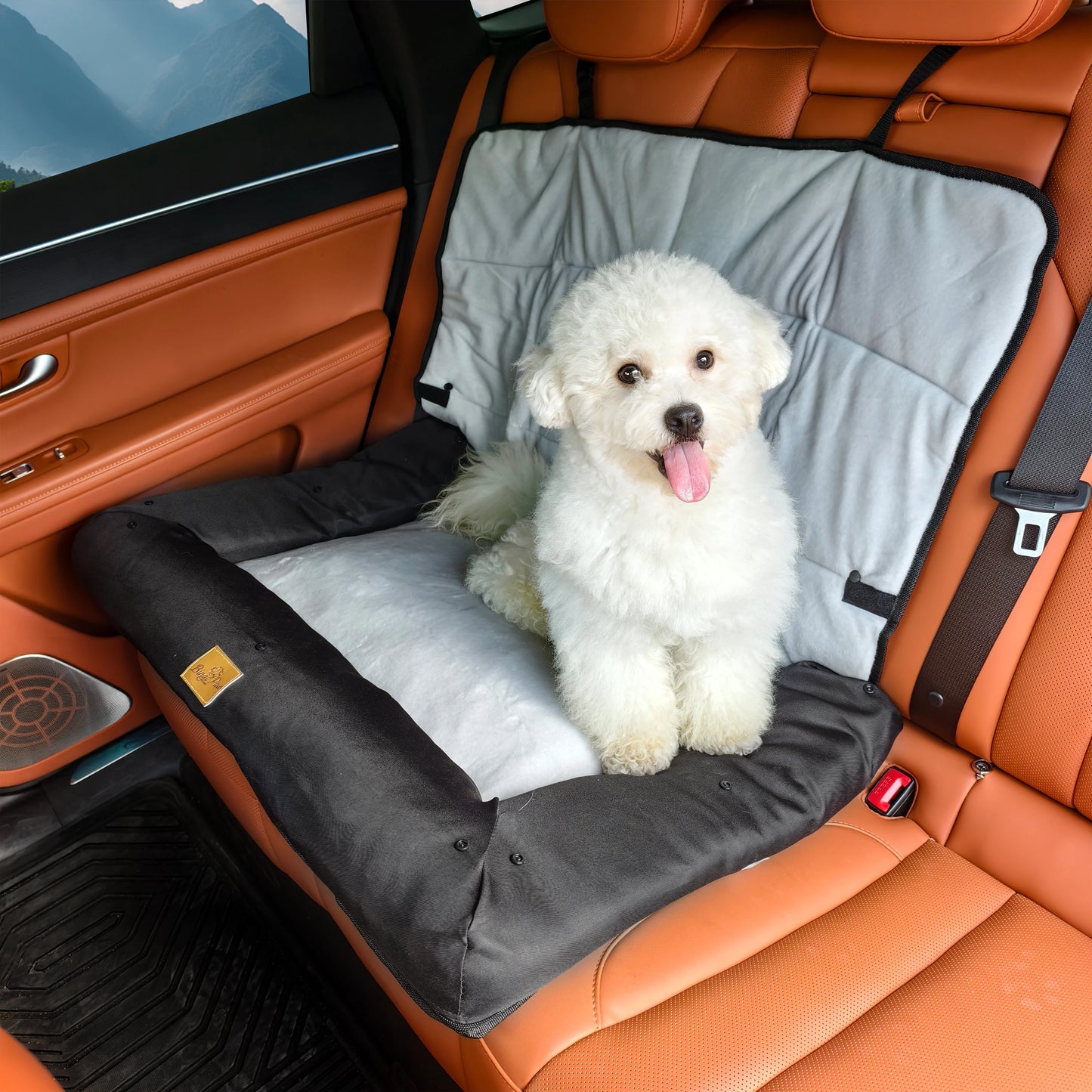 Bingopaw Waterproof Pet Car Seat Mat With Removable Cover