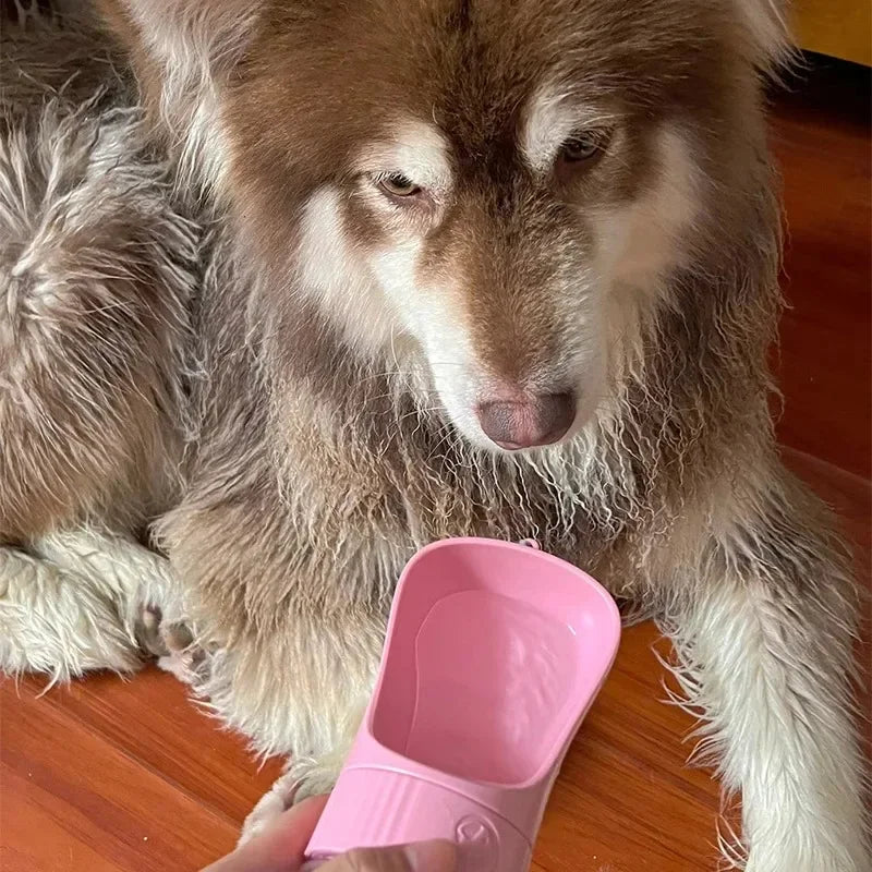 Portable Dog Water Bottle And Food Container For Travel