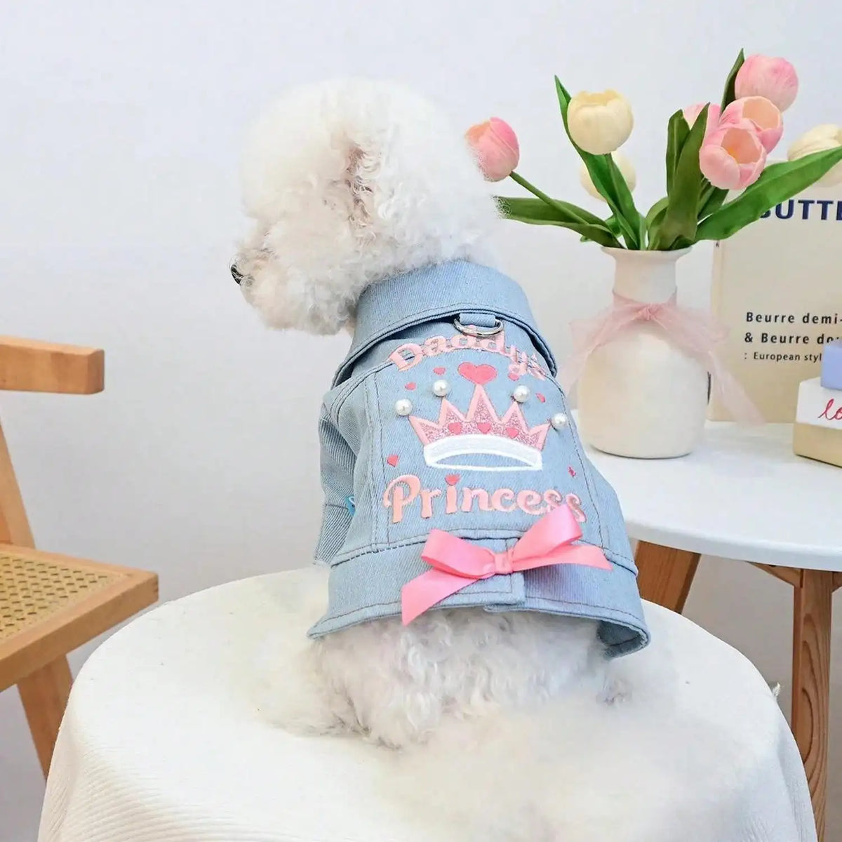 Stylish Princess Design Dog Denim Jacket With Fun Fruit Prints