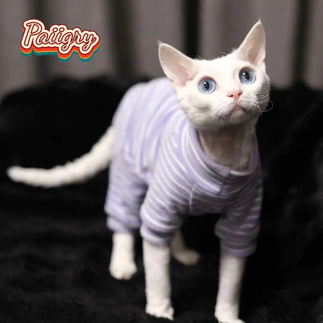 Warm Stretch Four Legged Pet Clothing For Sphinx Cats