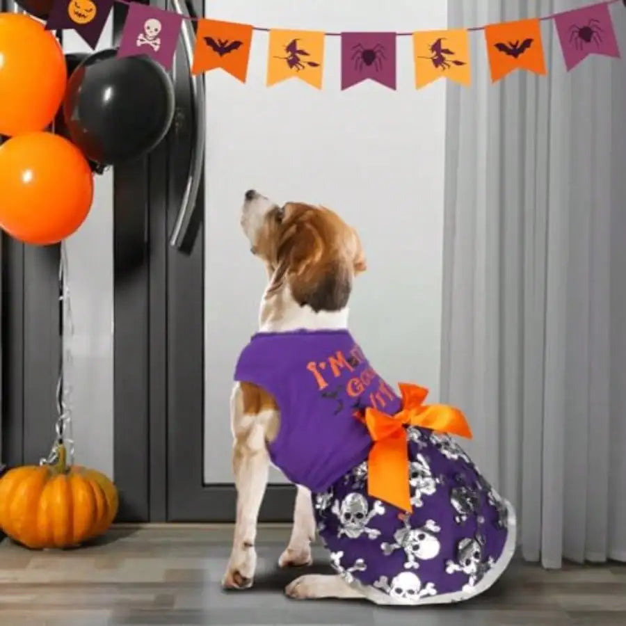 Stylish Dog Halloween Witch Costume For Happy Pets