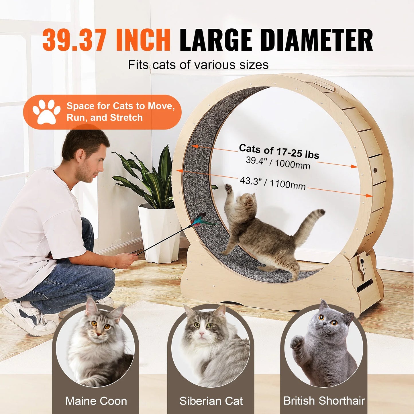 Wooden Indoor Cat Exercise Wheel With Carpet Surface And Teaser