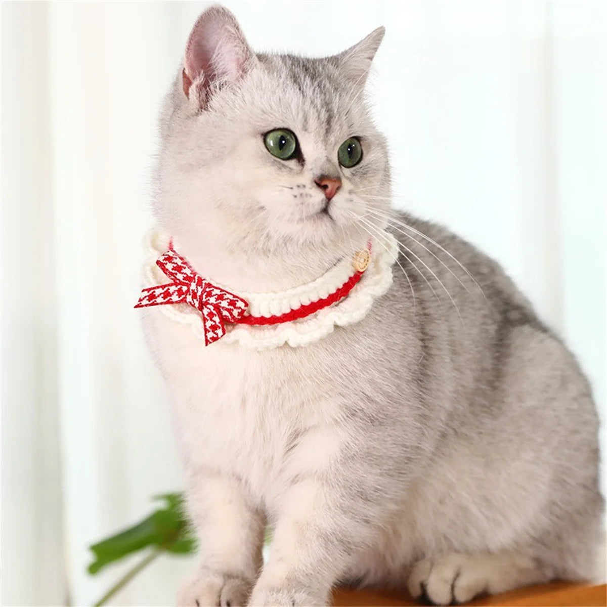 Decorative Bow Knot Handknit Pet Collar For Puppies