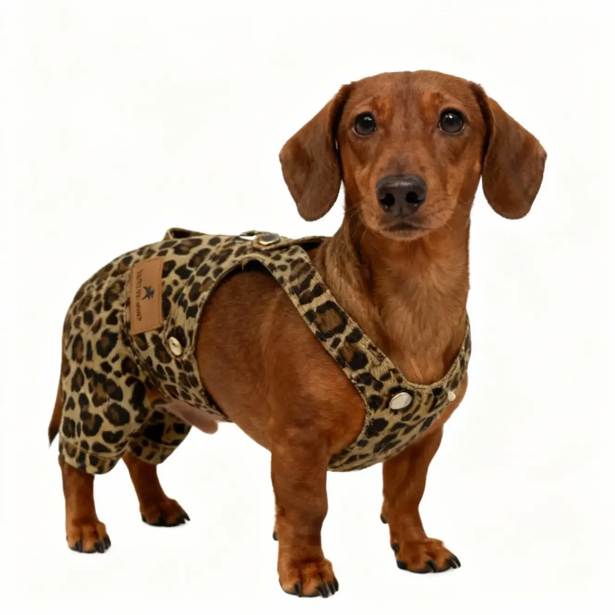 Breathable Pet Overalls For Dogs And Cats With Everyday Comfort