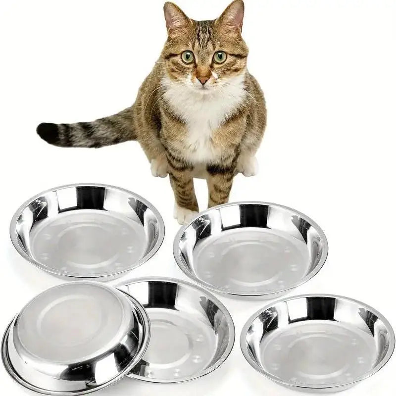 Stainless Steel Cat Bowl With Slip Resistant Wide Base