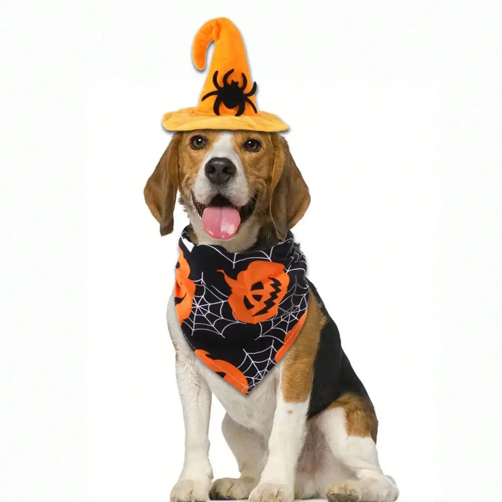 Adjustable Halloween Pet Witch Hat And Bandana Set For Pets