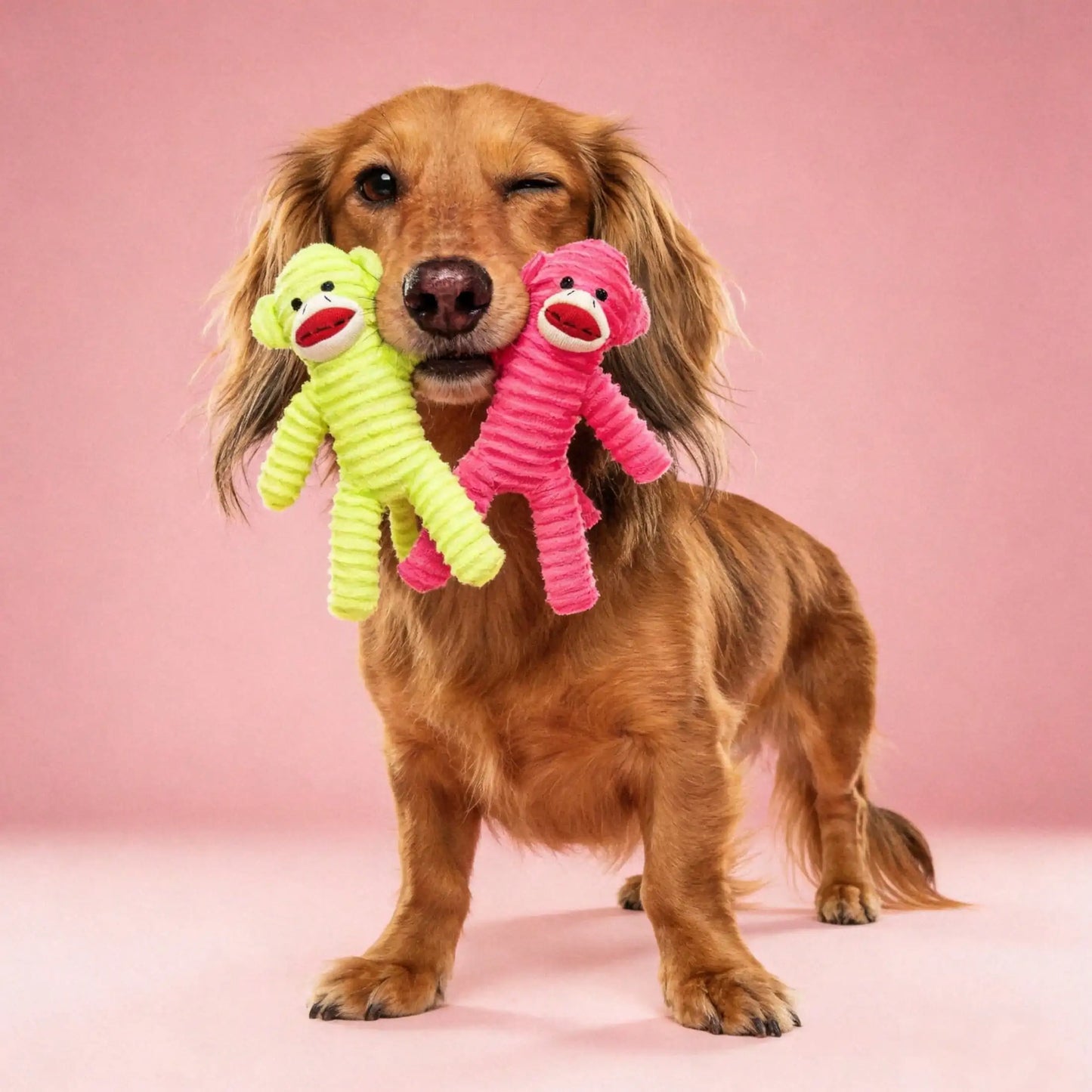 Durable Plush Armadillo Squeaky Dog Chew Toy Fleece Interactive Accessory