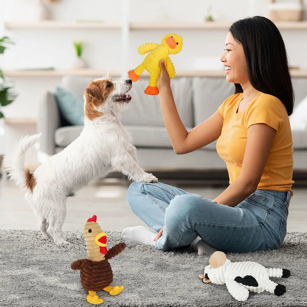 Premium Plush Squeaky Dog Toys Assortment Bundle For Pets