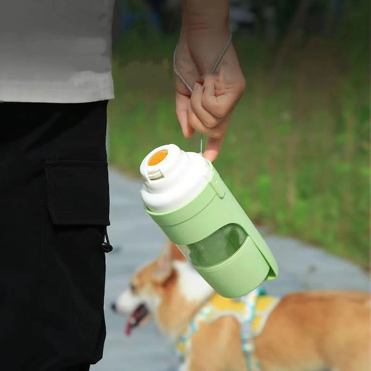 Wooden Pet Water Bottle With Food Storage Container For Dogs