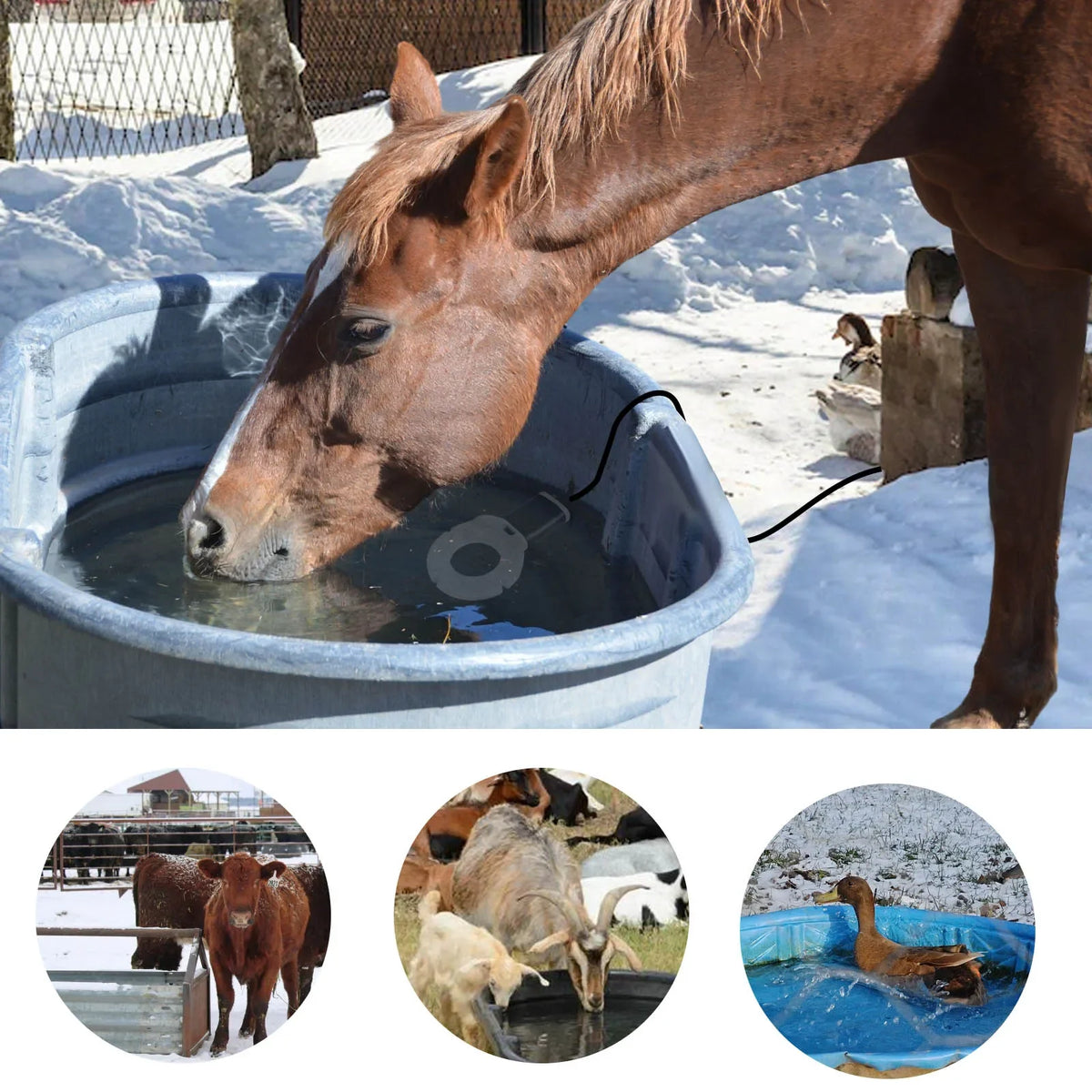 Submersible Cast Aluminum Thermostatic Bird Bath Livestock Water De-Icer
