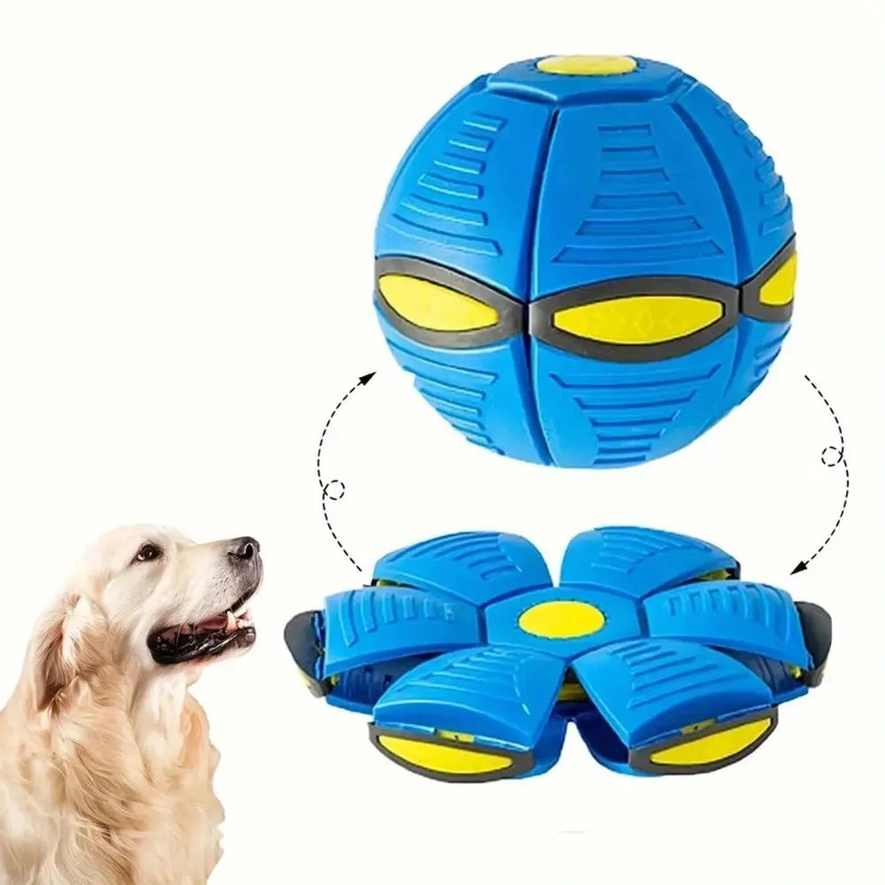 Durable Nylon Saucer Bouncing Ball Dog Toy For Outdoor Fetch