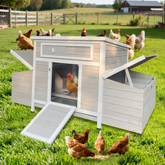 Wooden Outdoor Chicken Coop With Dual Nesting Boxes Moisture Shield
