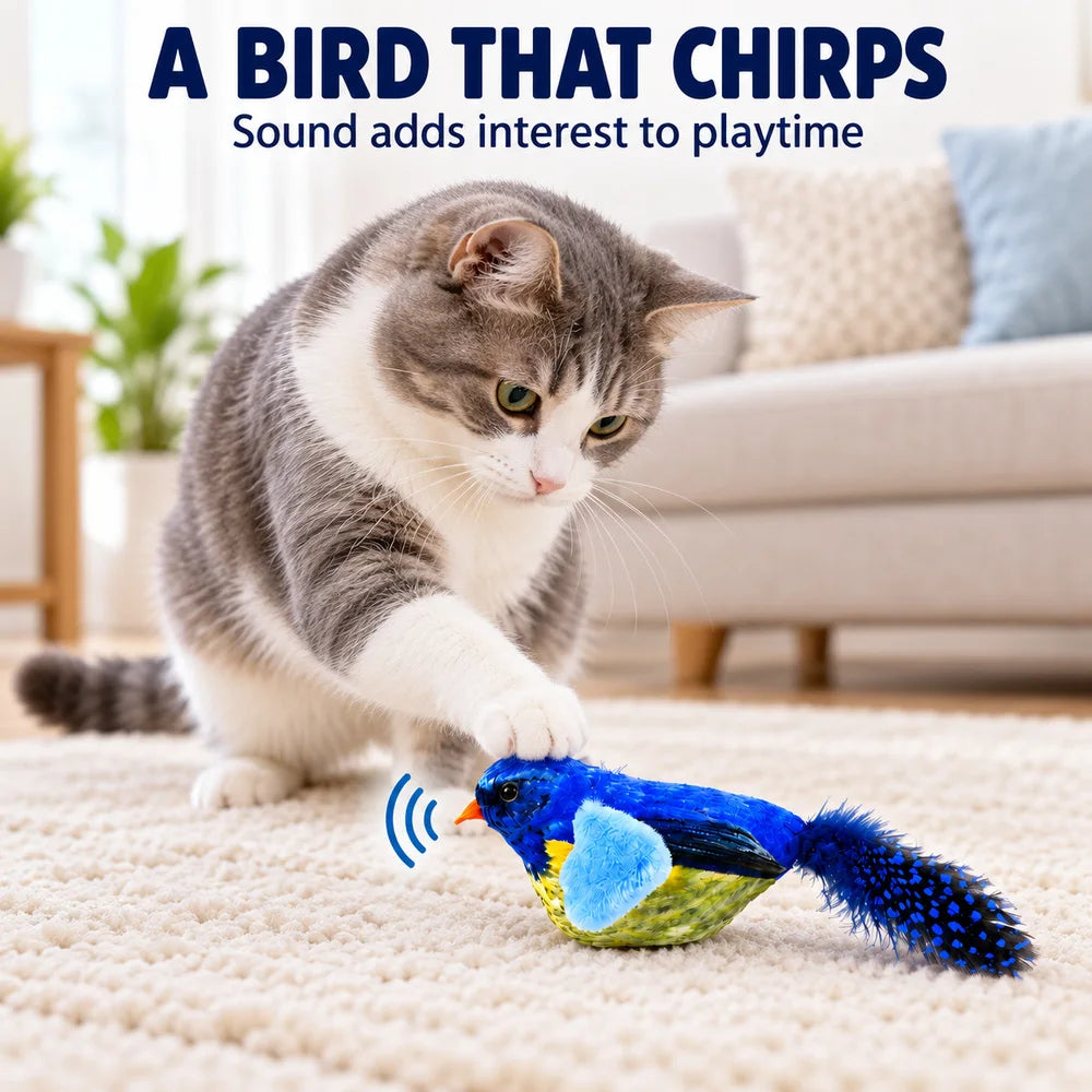 Zoe Interactive Cat Toys With Wobble Caterpillar And Chirping Bird