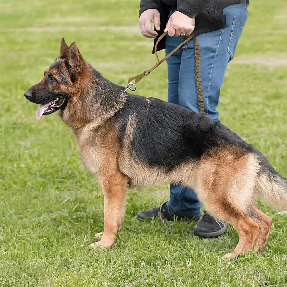 Adjustable Tactical Nylon Dog Leash With Quick Release Buckle