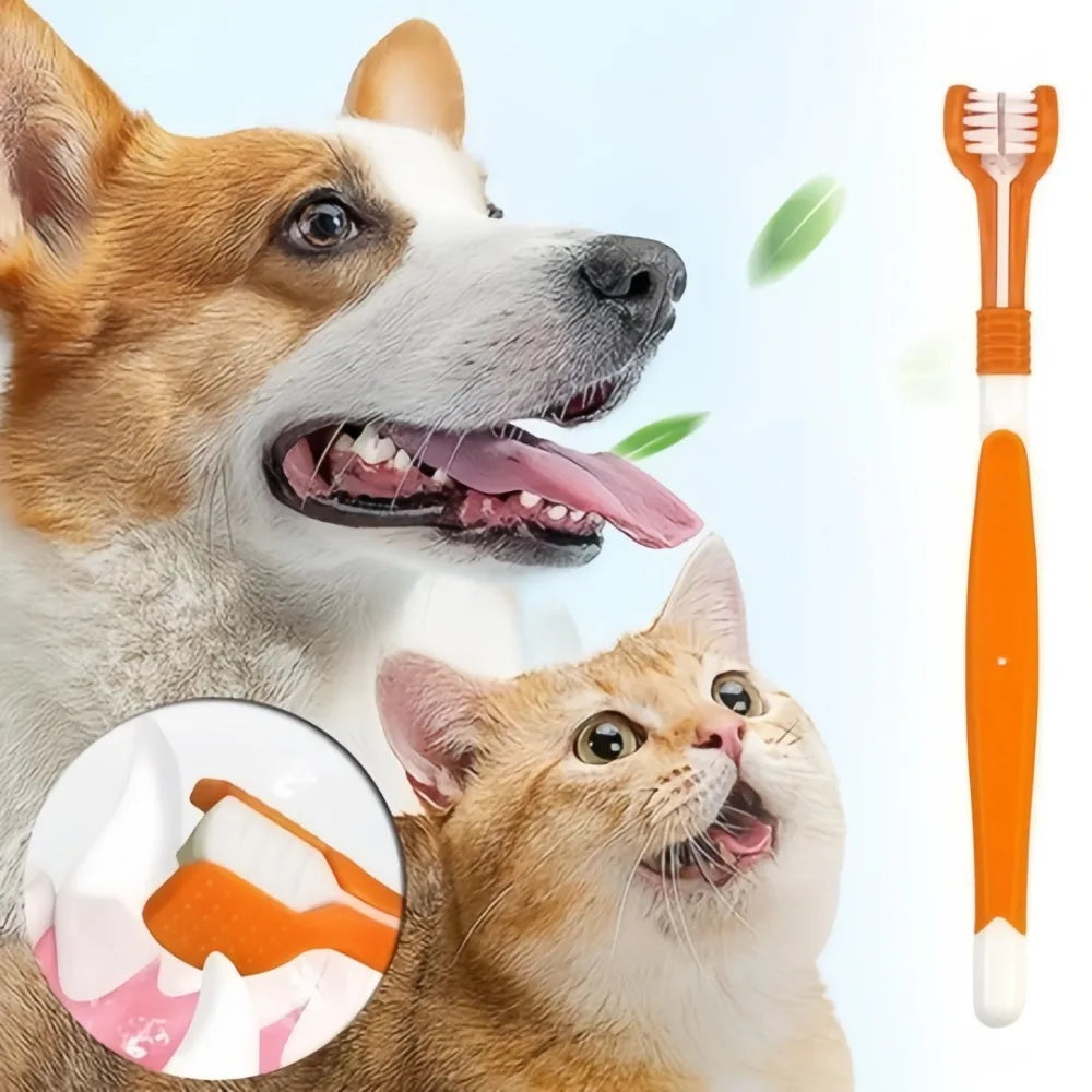 Three Sided Plastic Pet Toothbrush For Tartar Plaque Removal