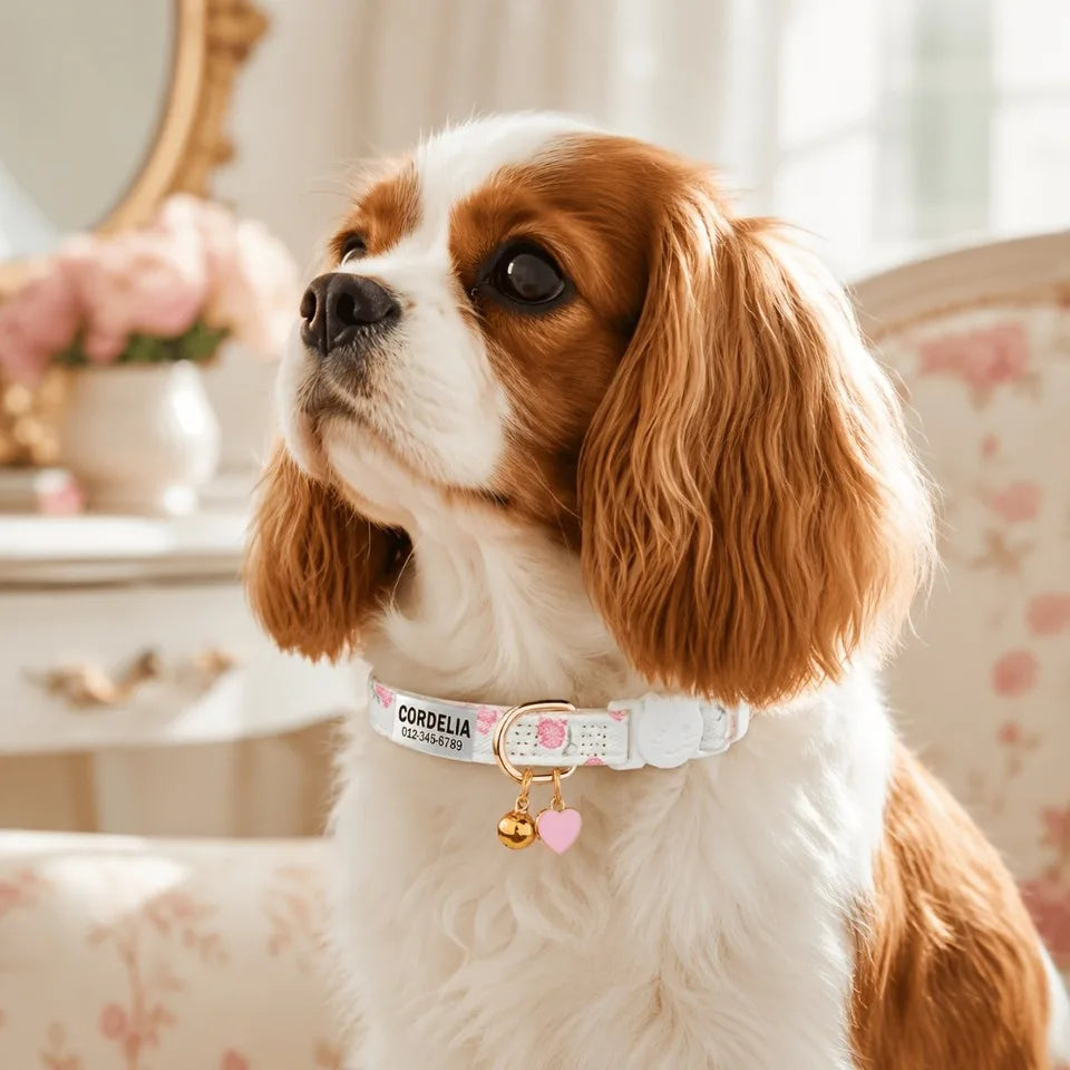 Personalized Engravable Dog Collar With Strawberry Heart Pattern ID Tag