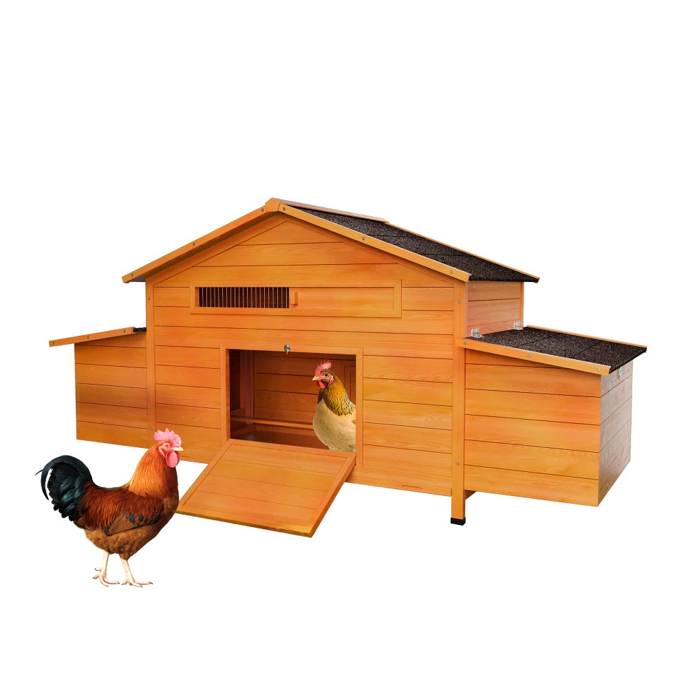Outdoor Wooden Chicken Coop With Dual Nesting Boxes And Secure Door