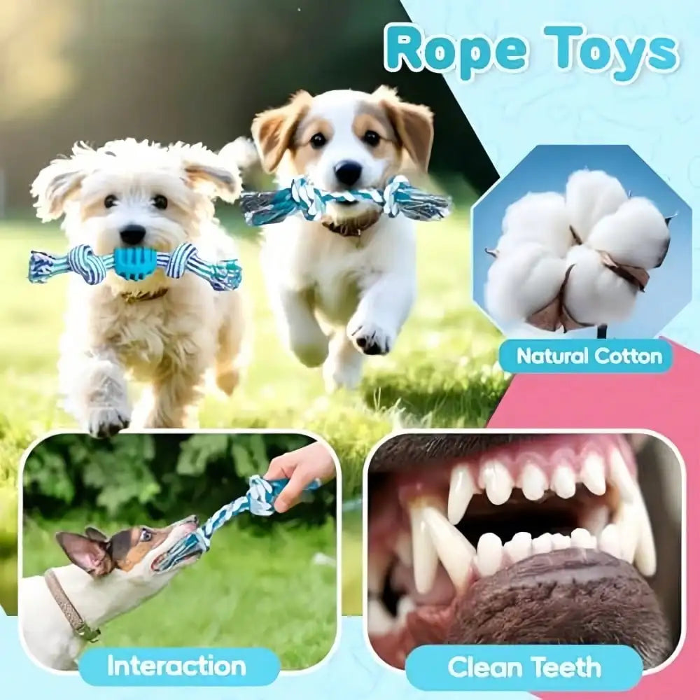 Professional Interactive Fleece Dog Chew And Rope Toy Set
