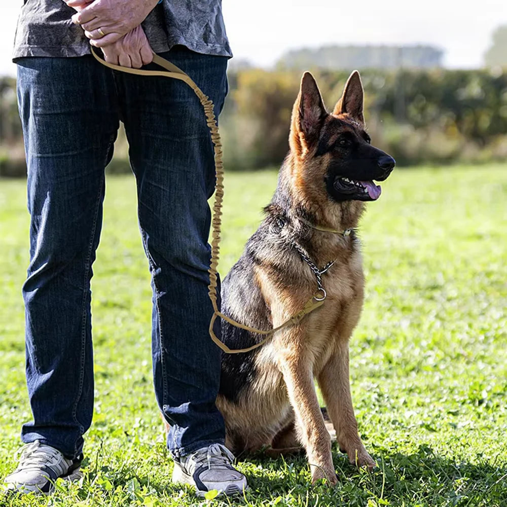 Adjustable Tactical Nylon Dog Leash With Quick Release Buckle