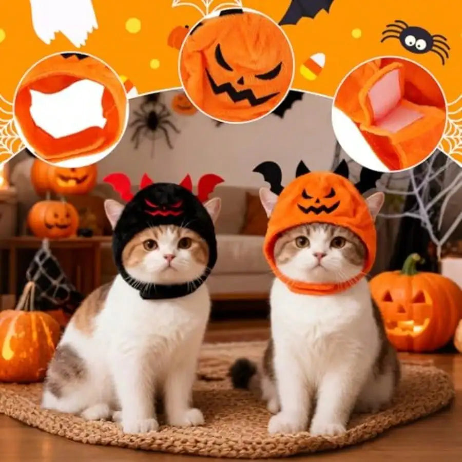 4Pcs Halloween Pet Costumes With Cat Pumpkin Bat And Scarves