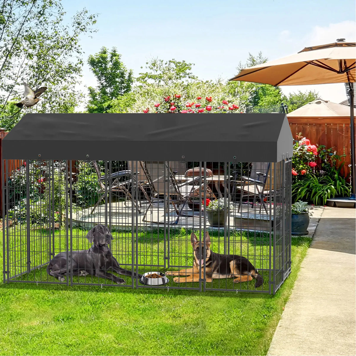 Heavy Duty Iron Outdoor Dog Playpen With Secure Roof Enclosure