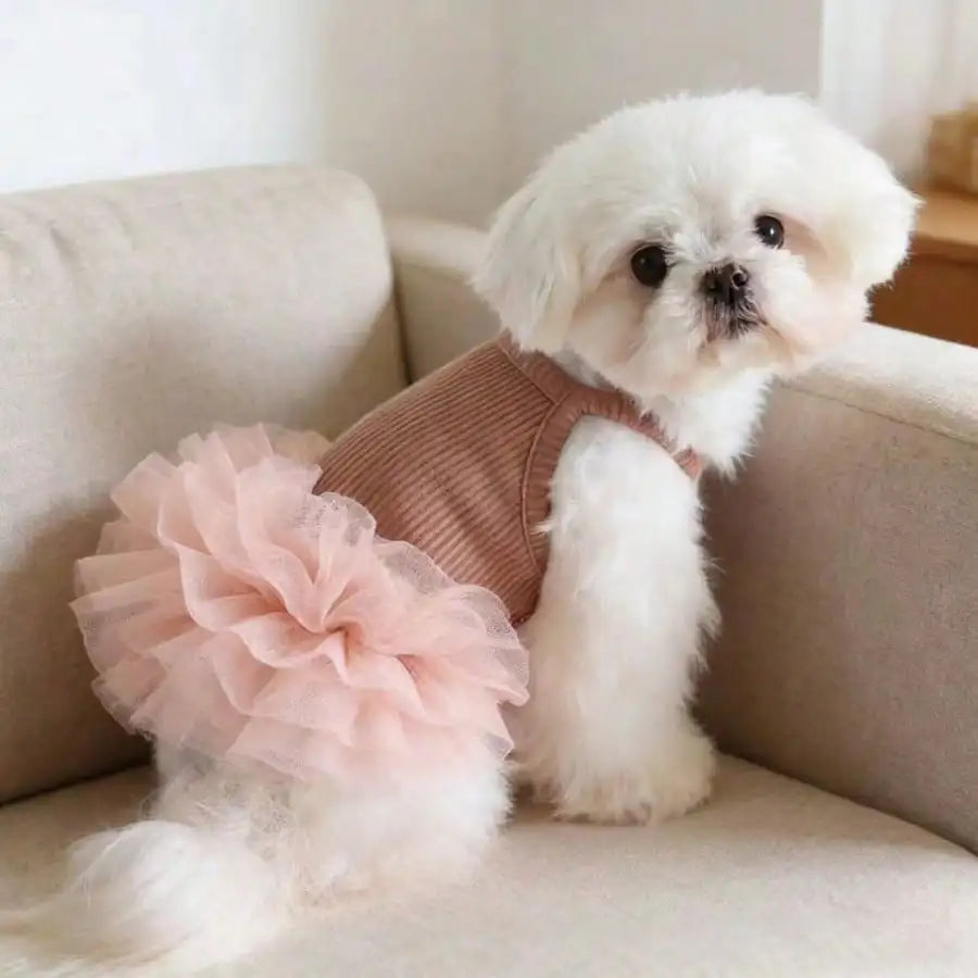 Elegant Ballet Tulle Princess Dress For Small Dogs Cats Outfit