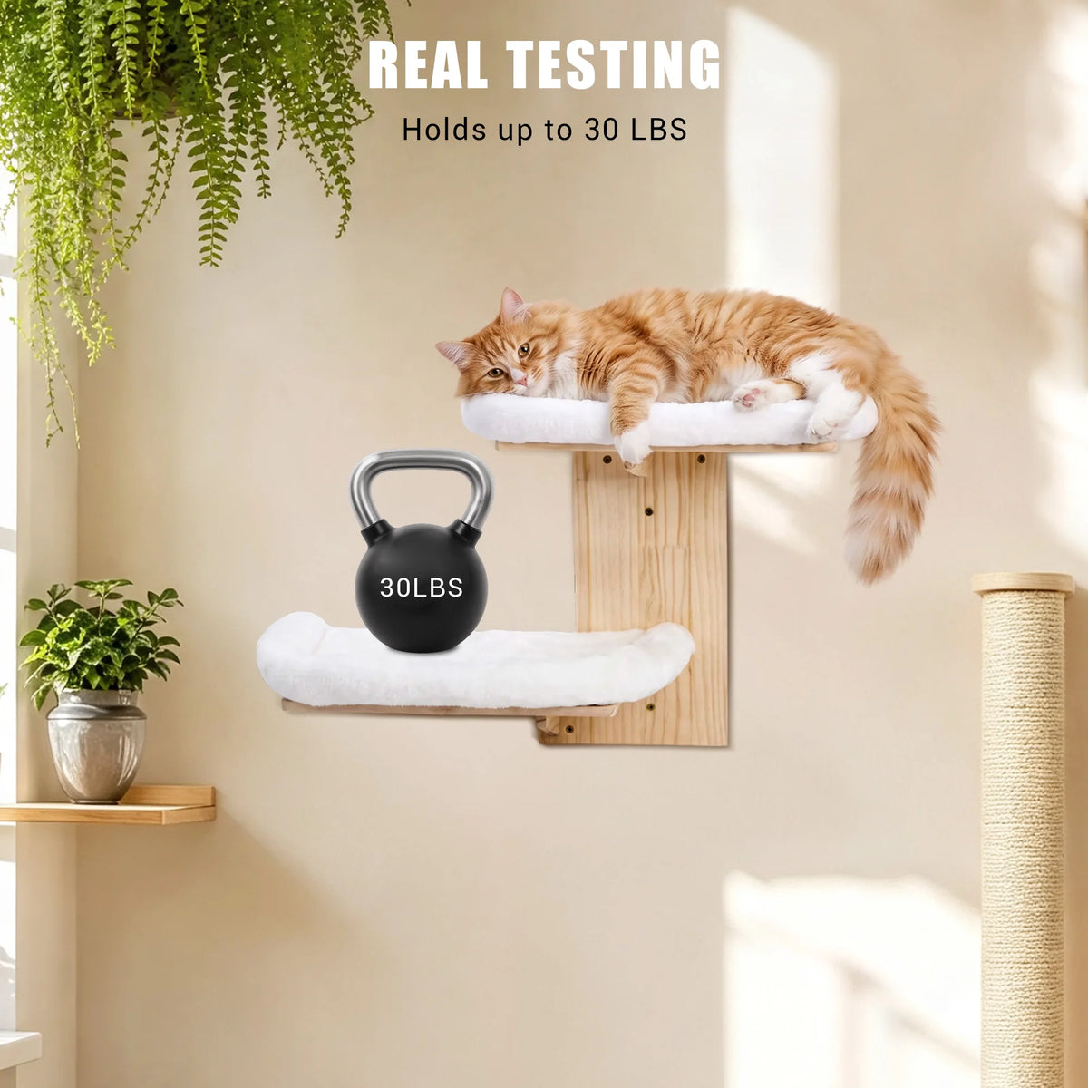 EliteZ Solid Wood Wall Mounted Cat Bed With Washable Cushion