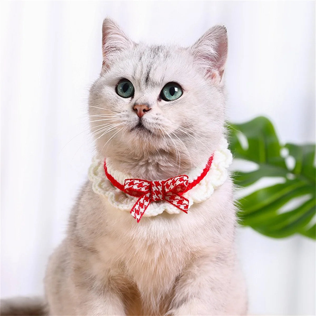Decorative Bow Knot Handknit Pet Collar For Puppies