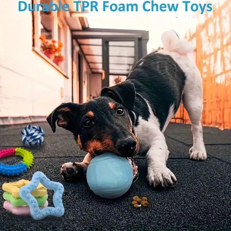 Professional Interactive Fleece Dog Chew And Rope Toy Set