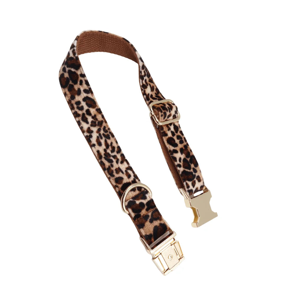 Comfortable Zinc Alloy Pet Collar And Leash Set For Dogs