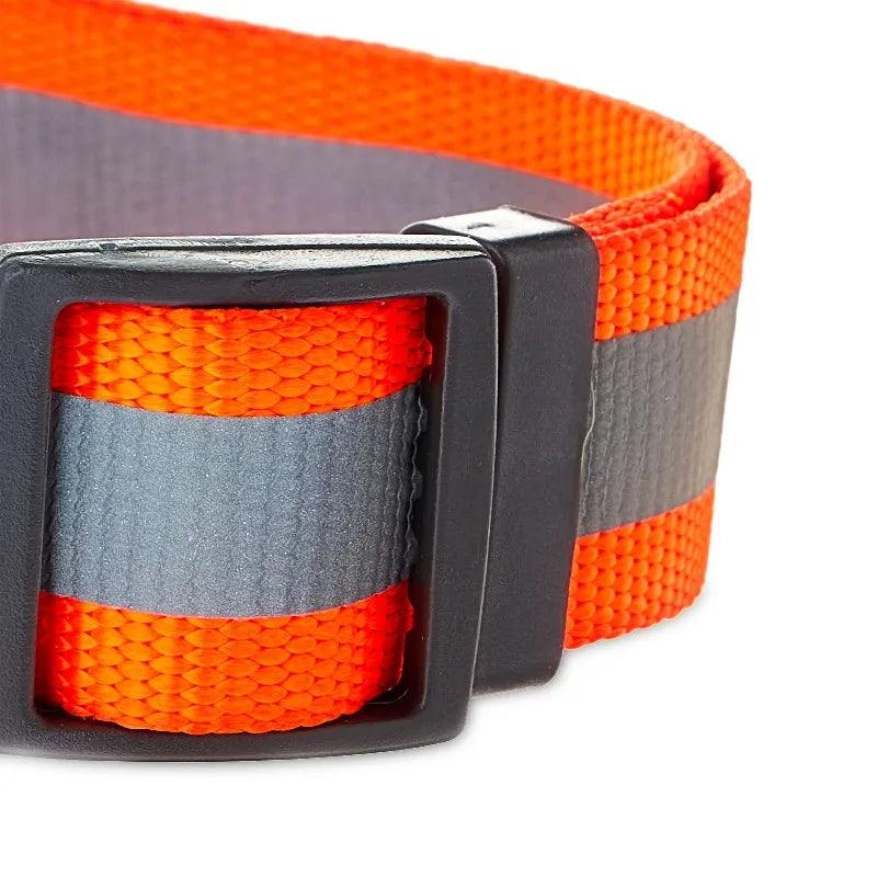 Durable Nylon Reflective Adjustable Dog Collar With Metal Hardware